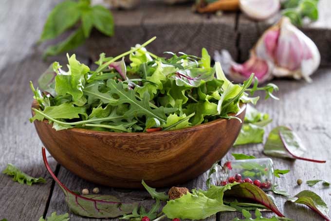 Health benefits of eating salad greens