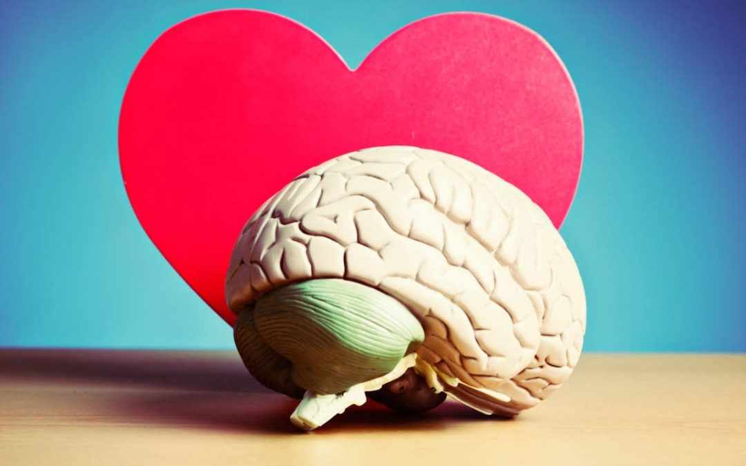 What is the connection between your heart and brain?
