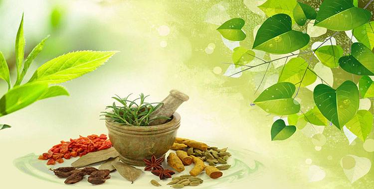 Indian herbs and their magical benefits