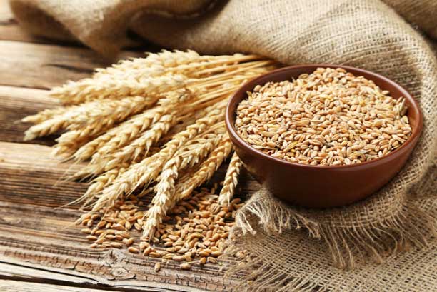Emmer-Wheat-Nutrition