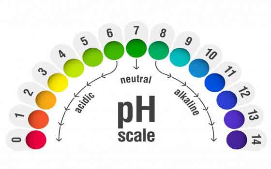 Balanced Ph