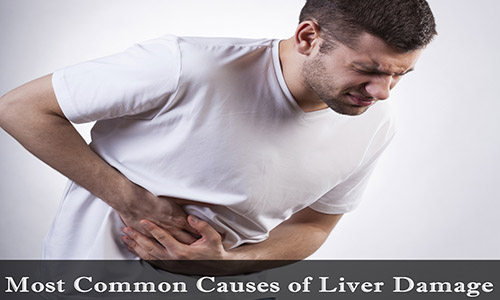 Common Causes Of Liver Damage
