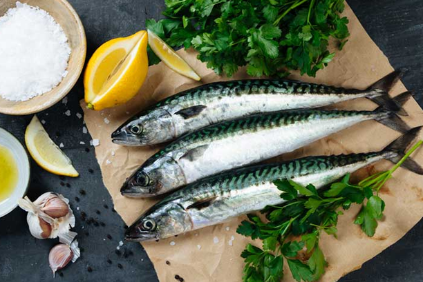 Fish