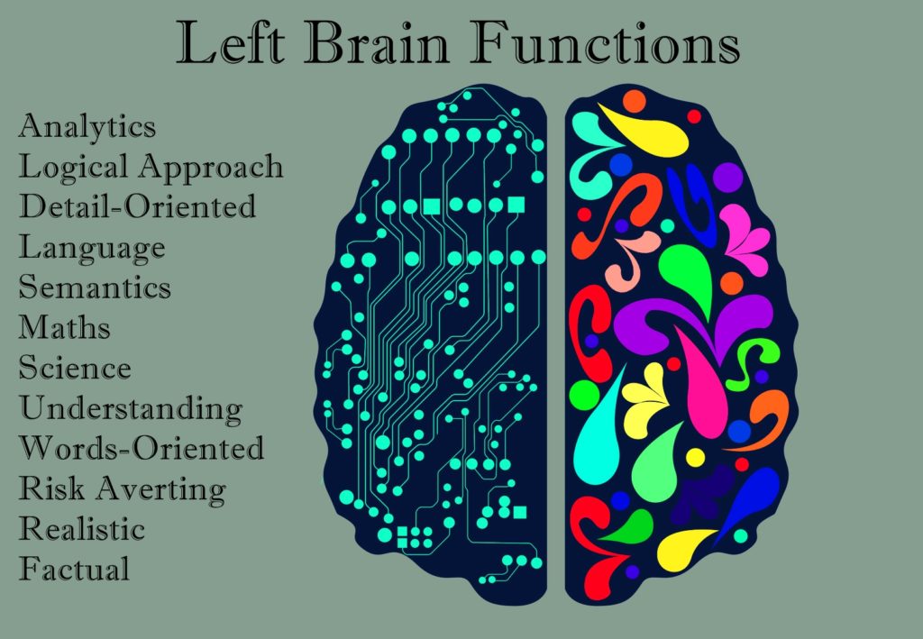 LeftBrainFun