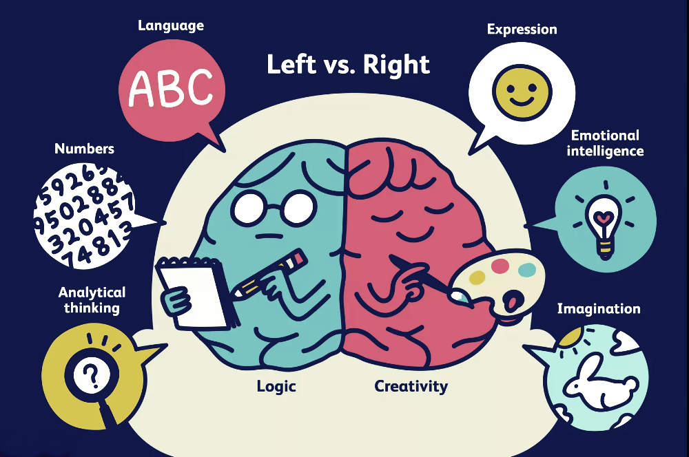 LeftvsRight
