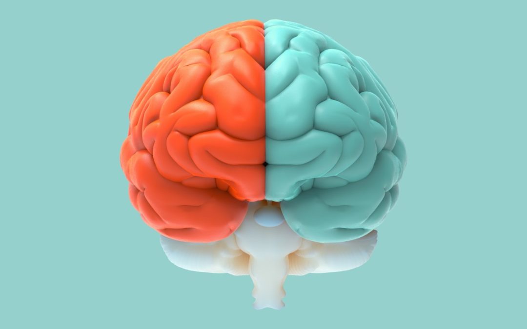 Left vs. Right Brain –Find out which one works for you