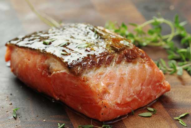 Salmon