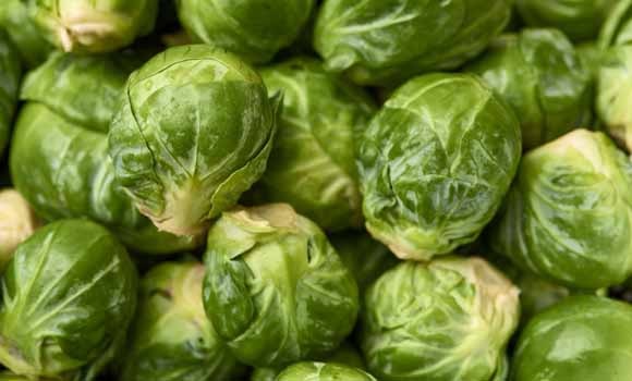 Brussels Sprout