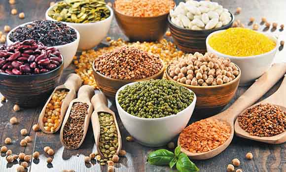 Legumes