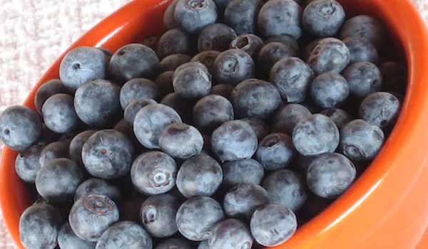 Berries for grey hair