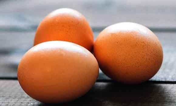 Eggs