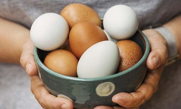 Eggs