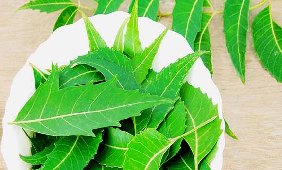 Neem