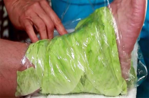 Organic cabbage for knee pain- things you ought to know - Health Tips