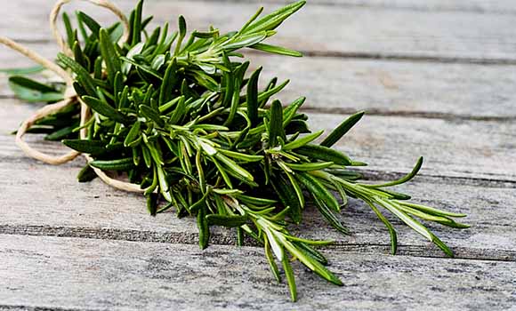 Rosemary
