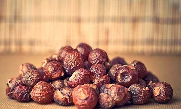 Soap Nuts