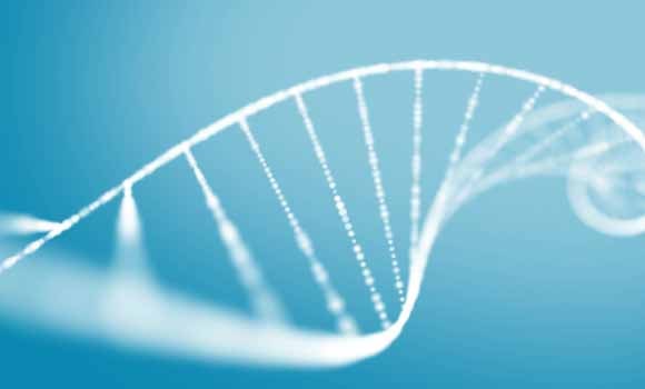 genes responsible for any epilepsy