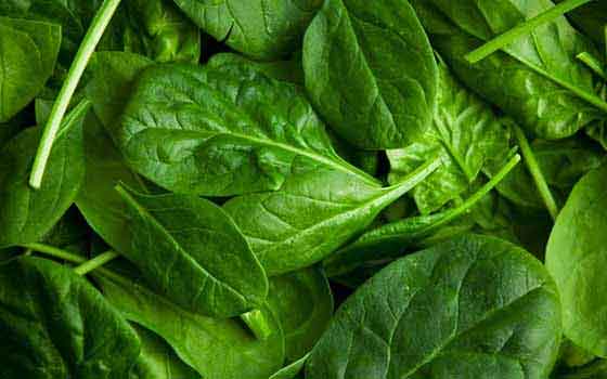 spinach