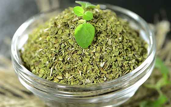Oregano