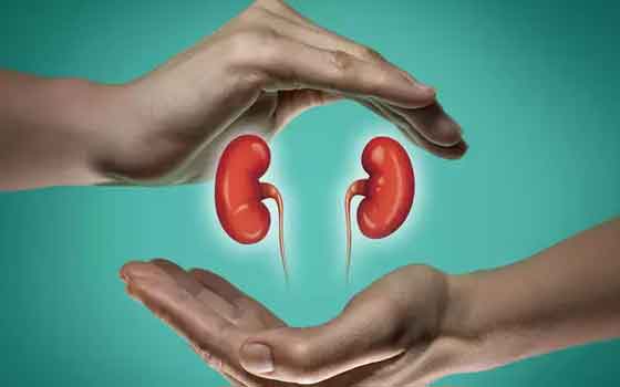 kidney health