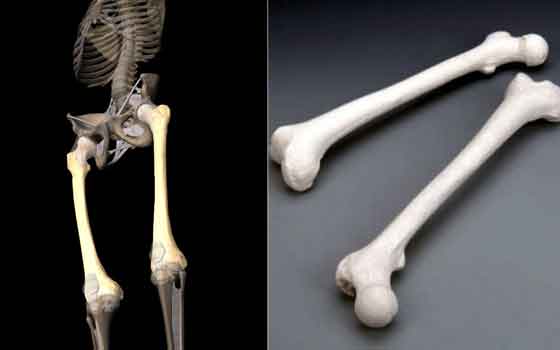 Stronger Bones