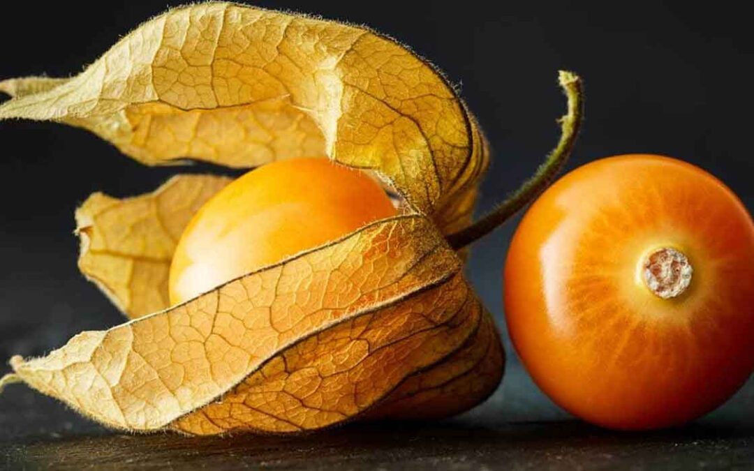 Health benefits of eating Cape gooseberry in pregnancy
