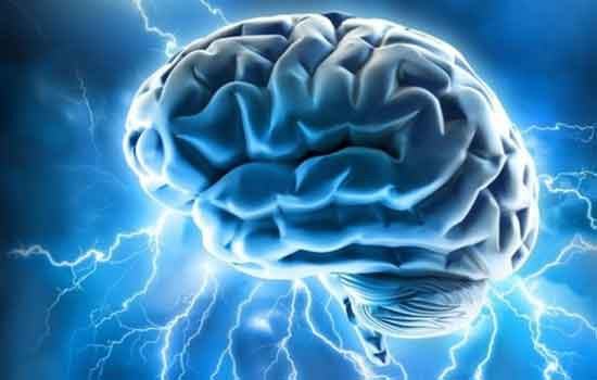 Helps improve cognitive skills