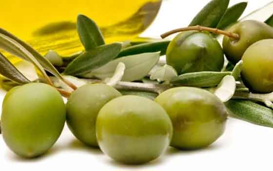 Olive oil