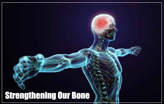 strengthening our bone