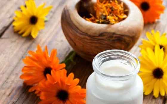 Calendula cream