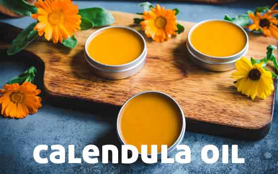 calendula