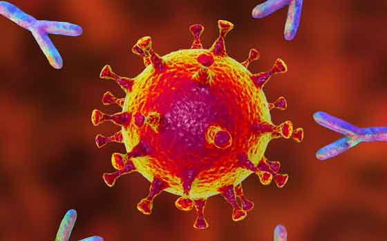 immunity