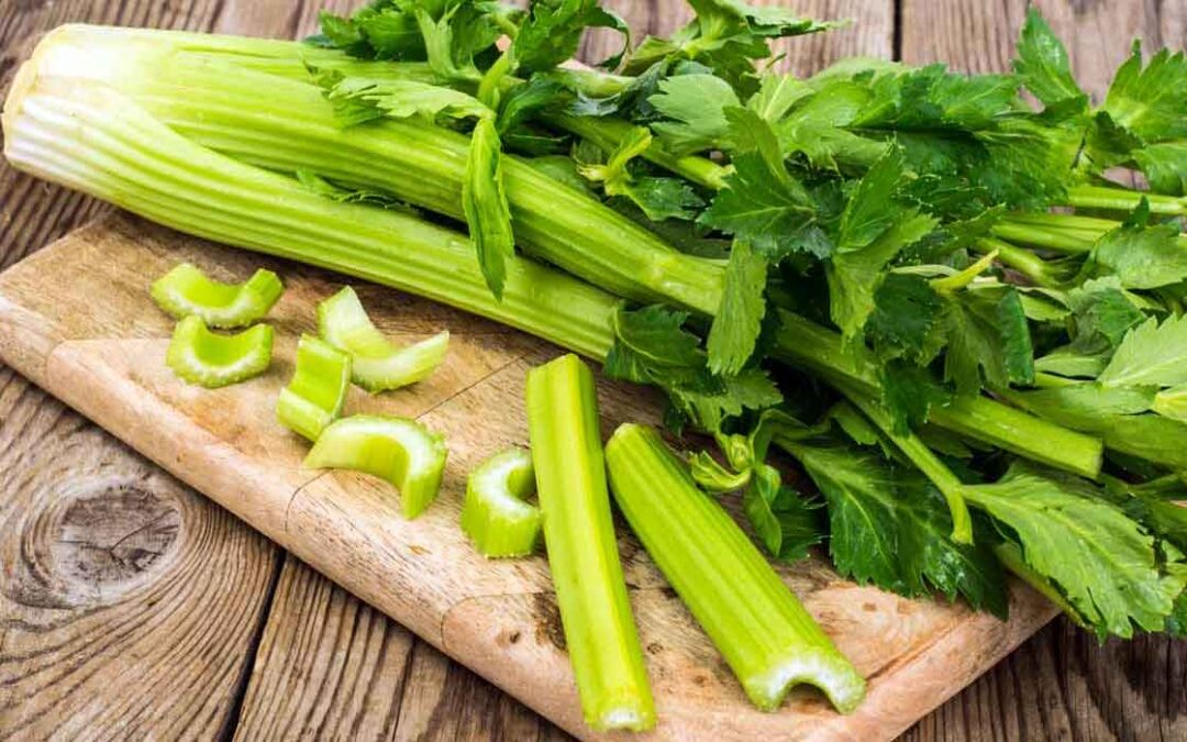 Celery nutrition facts Benefits