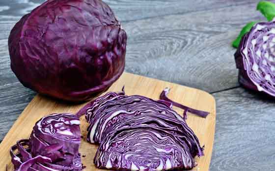 Red cabbage