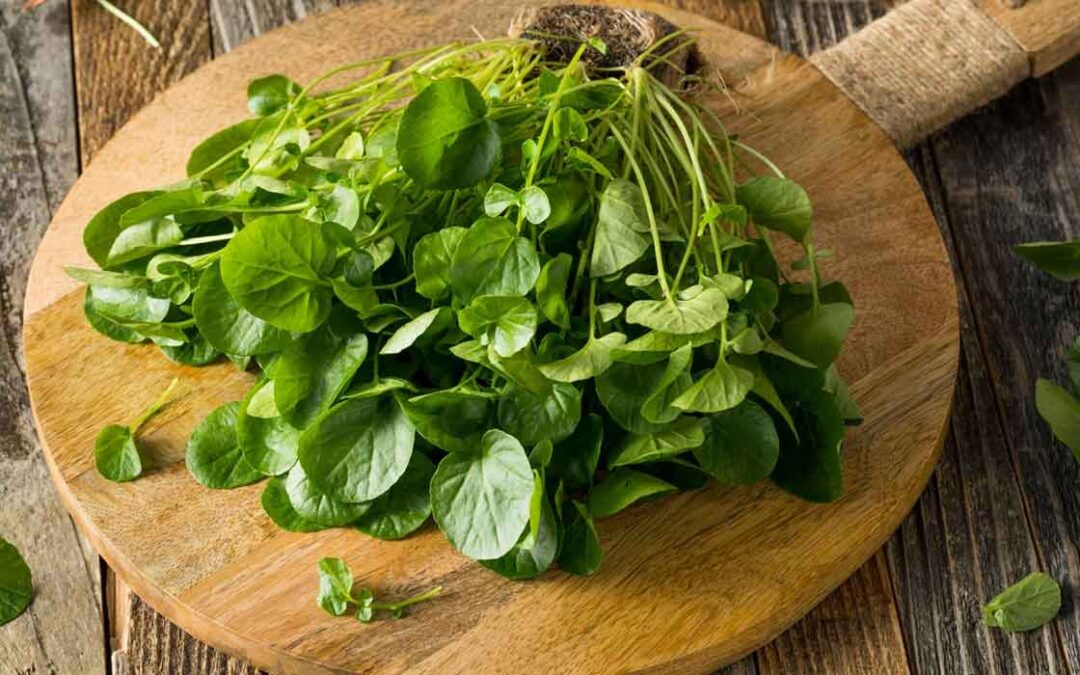 Watercress nutrition facts and health benefits
