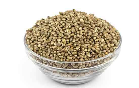 Hemp Seeds